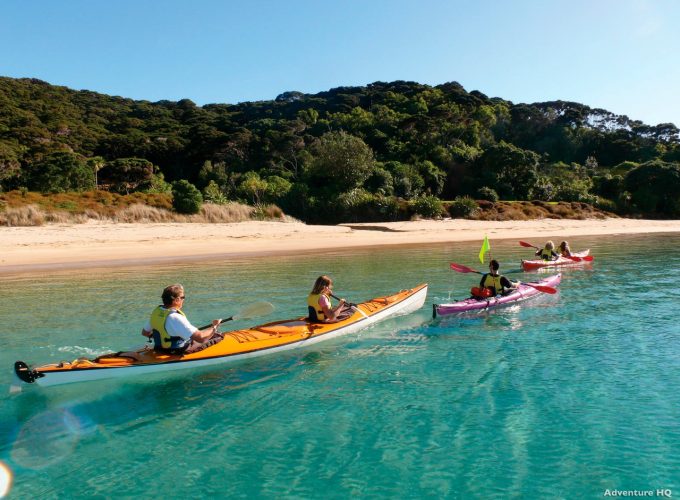 Bay of Islands Escape: Tailored Private Tour