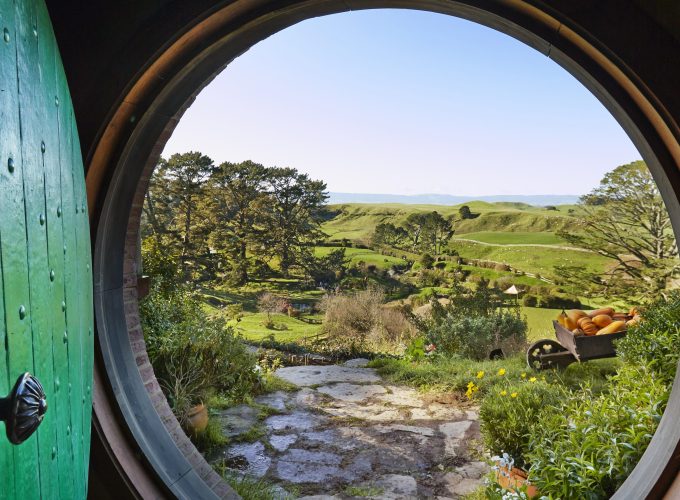 auckland to hobbiton self drive