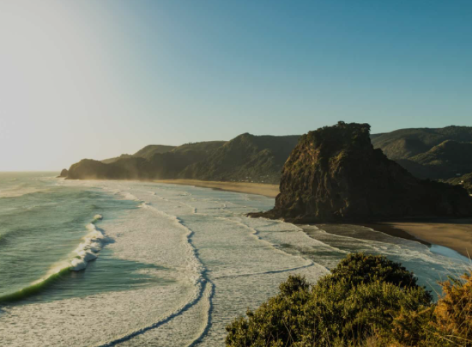 Piha Beach & Auckland City Tour